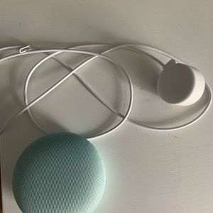 Google home mini